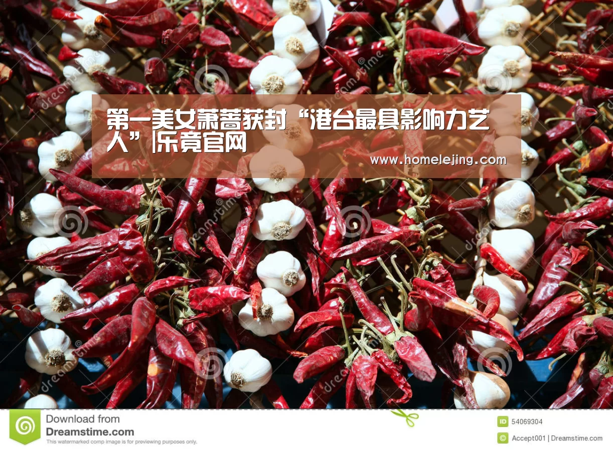 乐竟体育官网