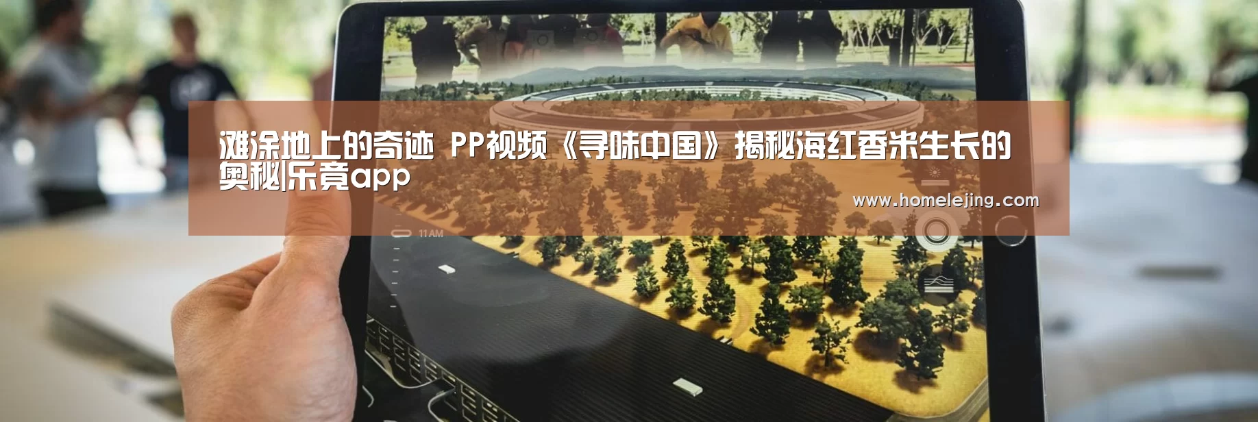 滩涂地上的奇迹 PP视频《寻味中国》揭秘海红香米生长的奥秘|乐竟app(图1) 乐竟官网平台