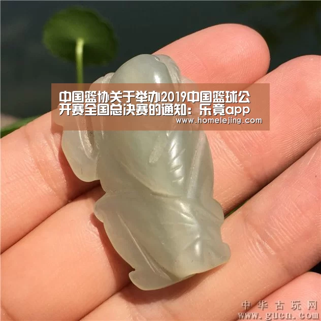 中国篮协关于举办2019中国篮球公开赛全国总决赛的通知:乐竟app(图4) 乐竟官网