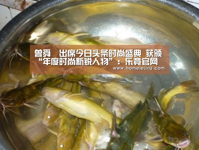 乐竟app